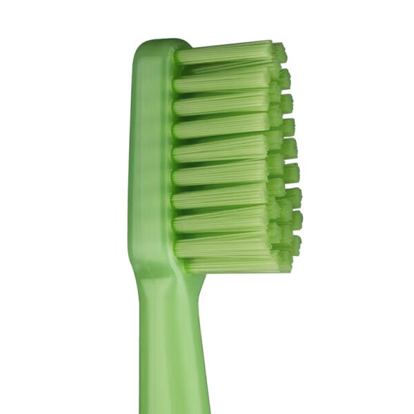 Brosse à dents éco-responsable