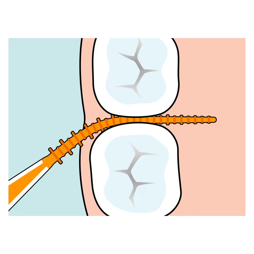 Cure-dents en silicone – Image 2
